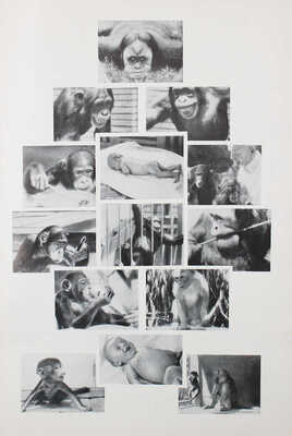 [Каталог фильмов производства «Союзкино» и «Межрабпомфильм»]. Berlin, [1930-е].